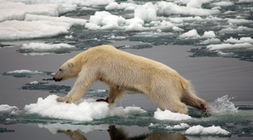 Resized_climate_change